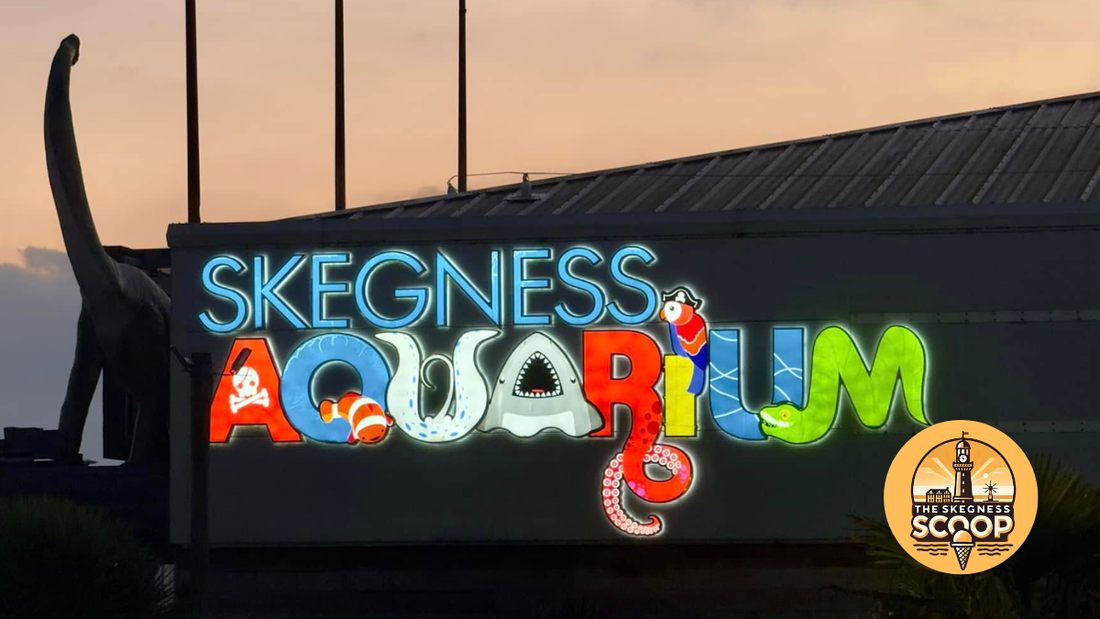 Stuff to Do in Skegness When It Rains